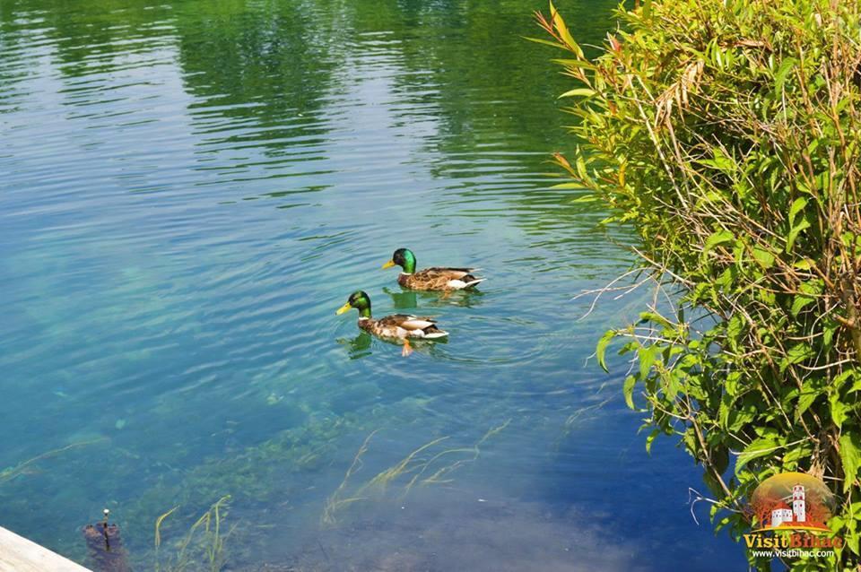 Guesthouse Una 1 Bihać Kültér fotó